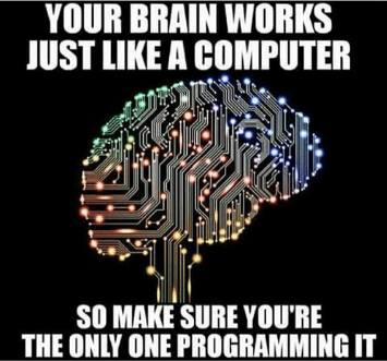 Your Brain Works Like a Computer