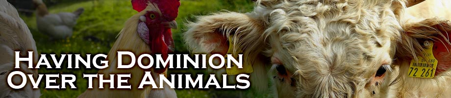 What Does Having Dominion Over Animals Mean?