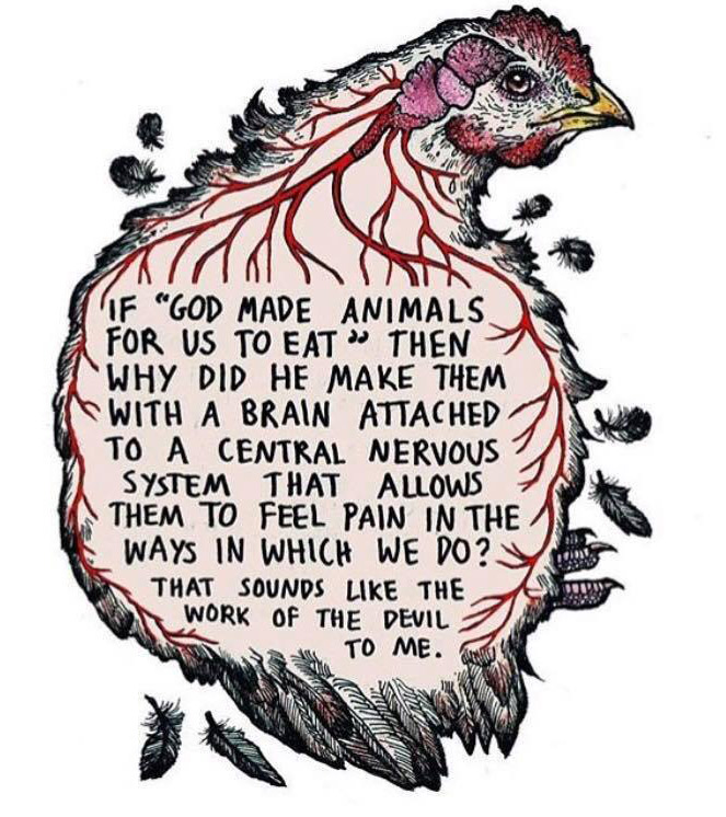 animals were not made to be food