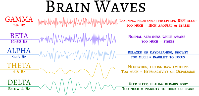 Brain Wave States: Gamma, Beta, Alpha, Theta, Delta