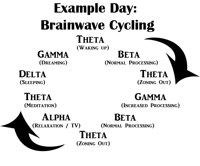 Brainwaves in a Day Sample